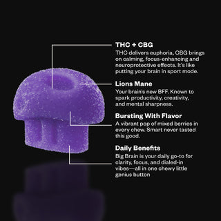 Munchies Big Brain 2.5mg THC 20mg CBG + Lion's Mane 20ct